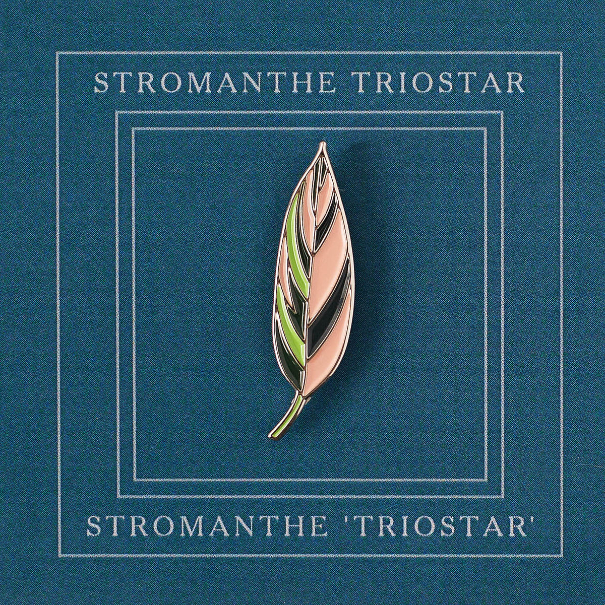 Triostar