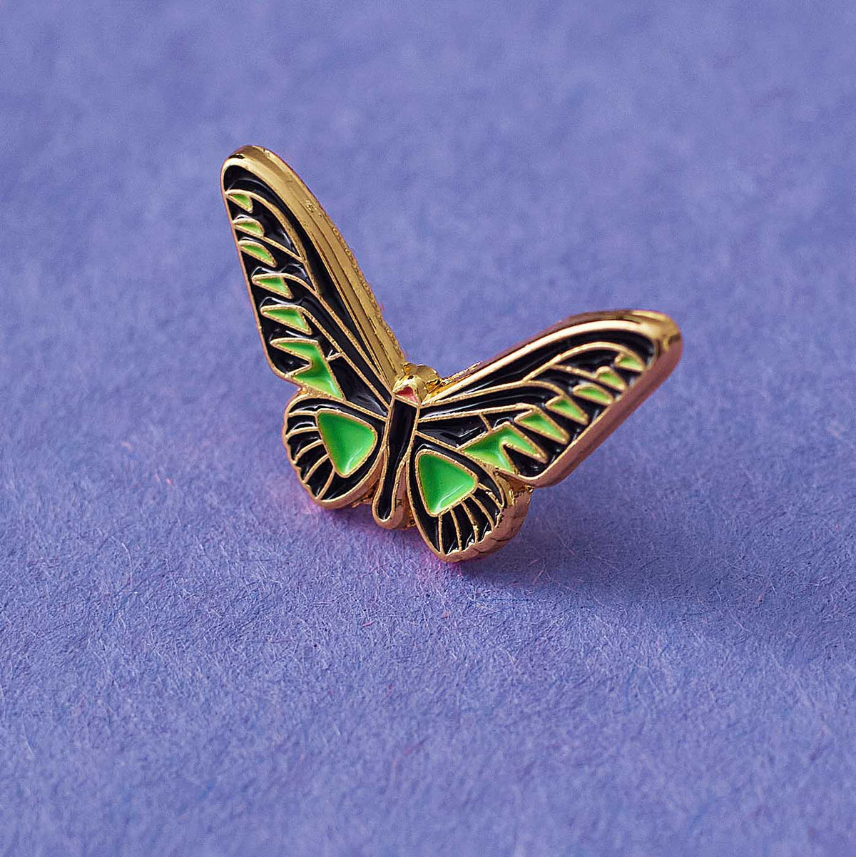 Bird Wing butterfly