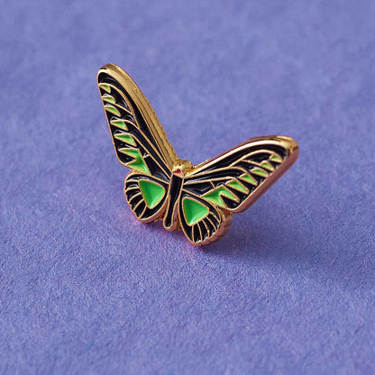 Bird Wing butterfly