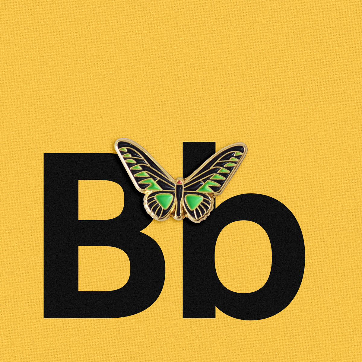 Bird Wing butterfly