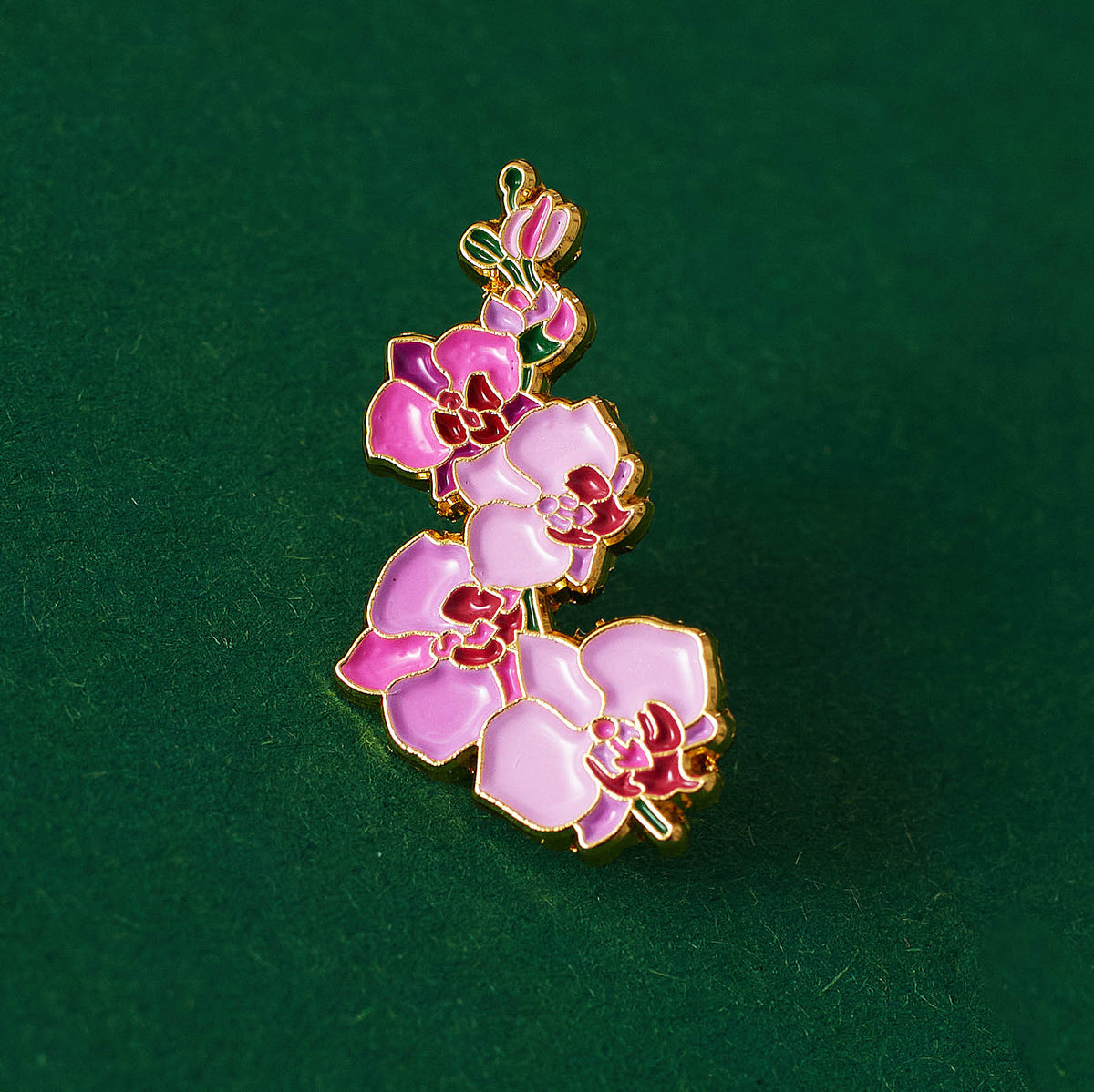 Orchid