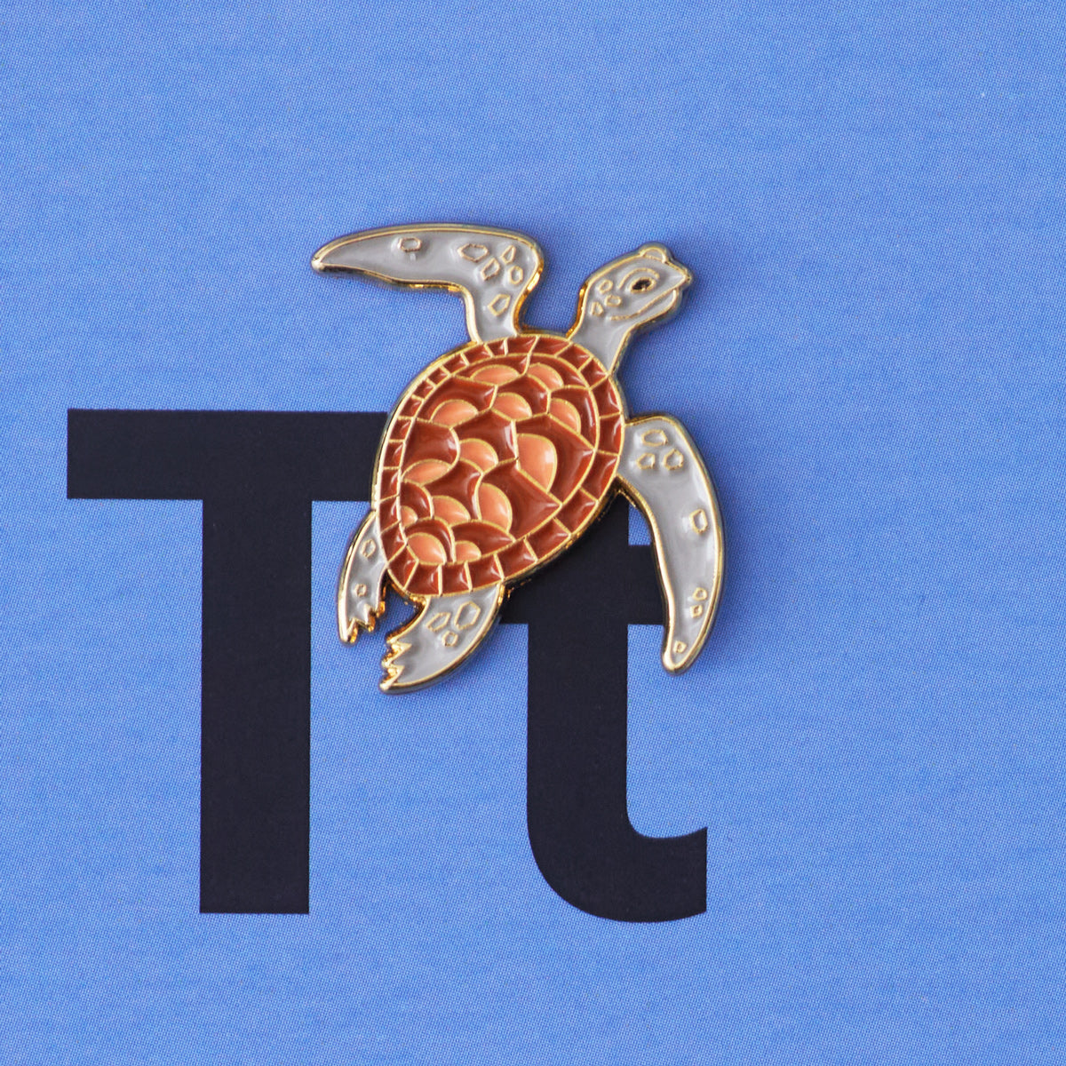 Tortoise