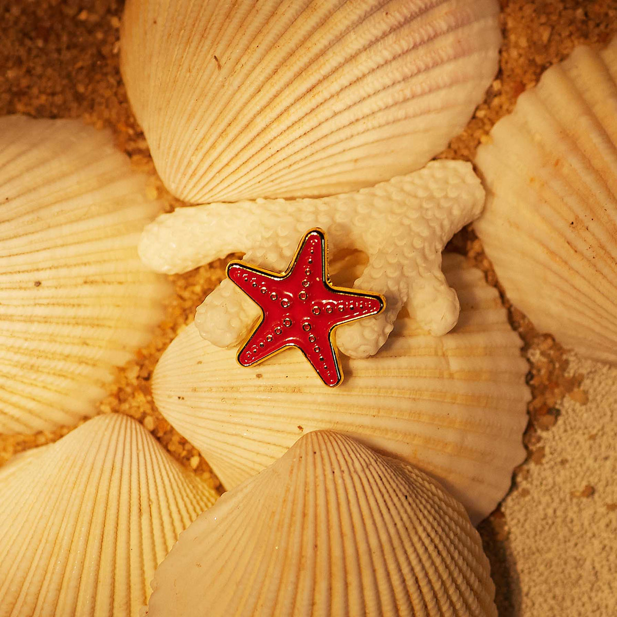 Star Fish