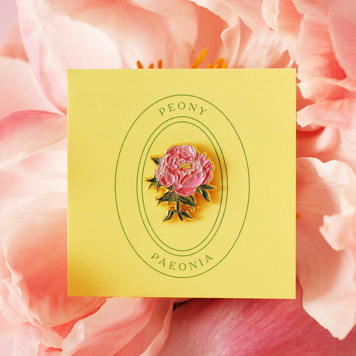 Peony