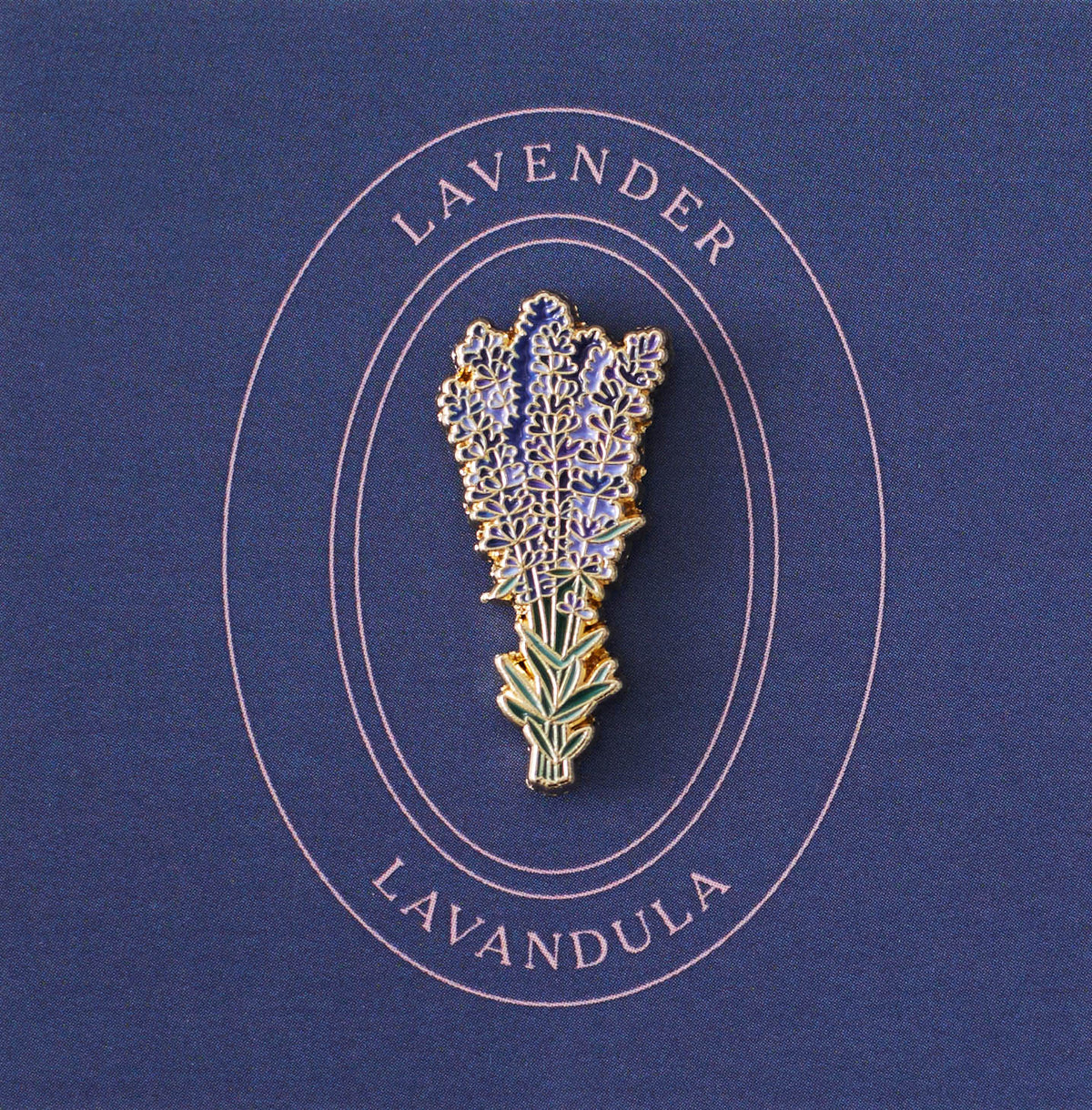 Lavender