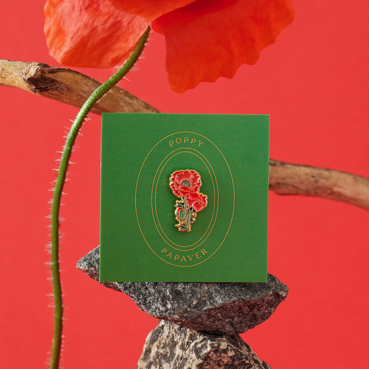 Poppy