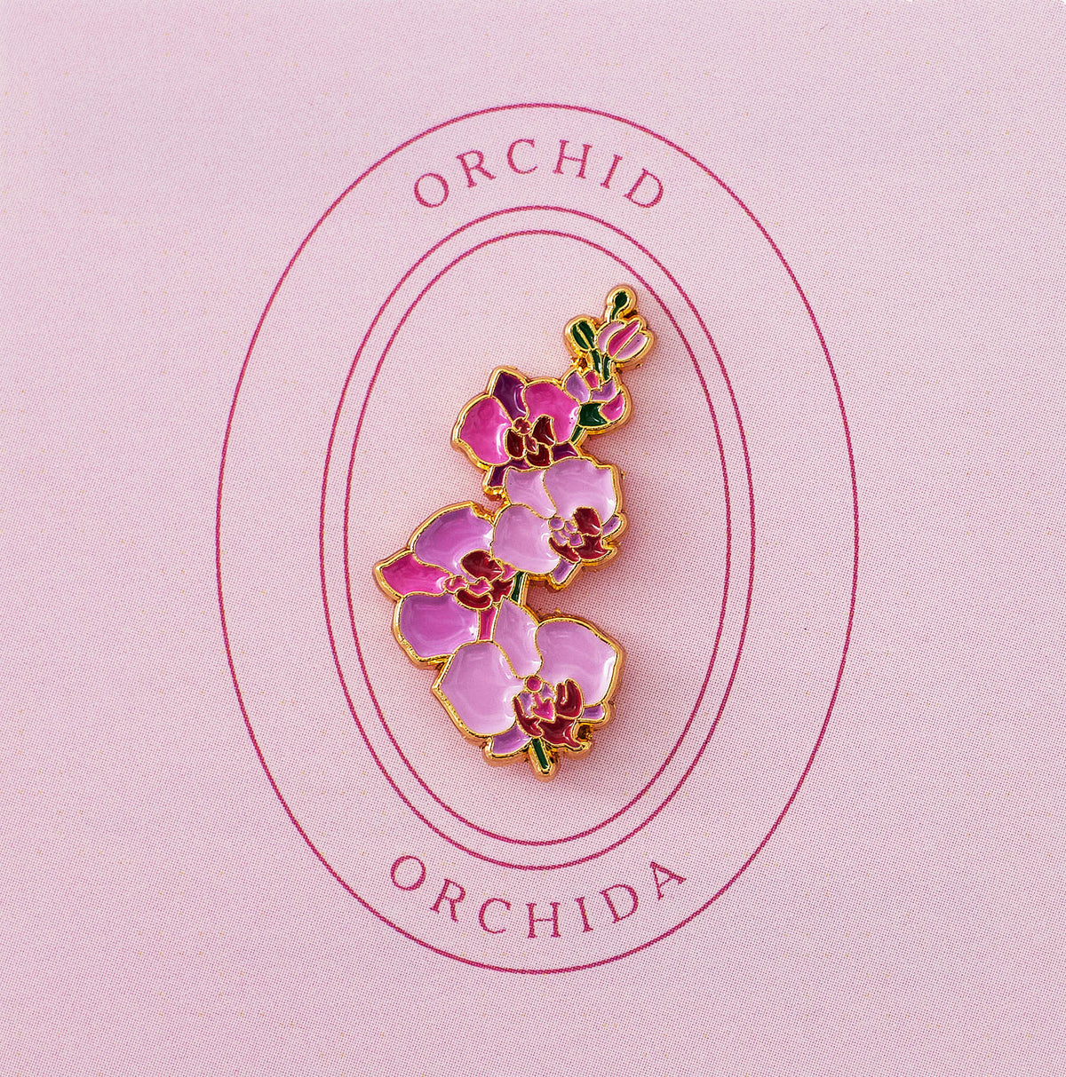 Orchid