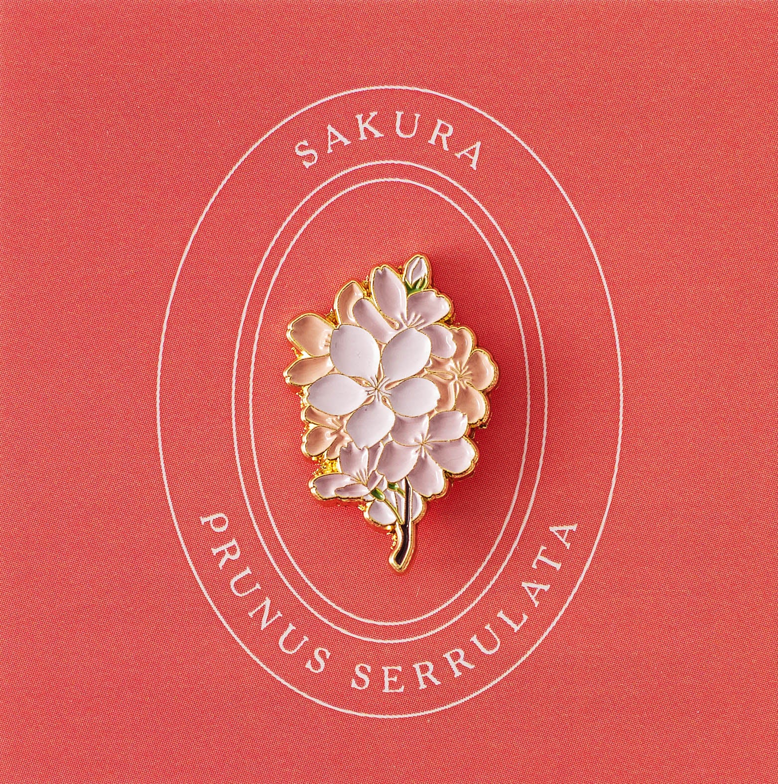 Sakura