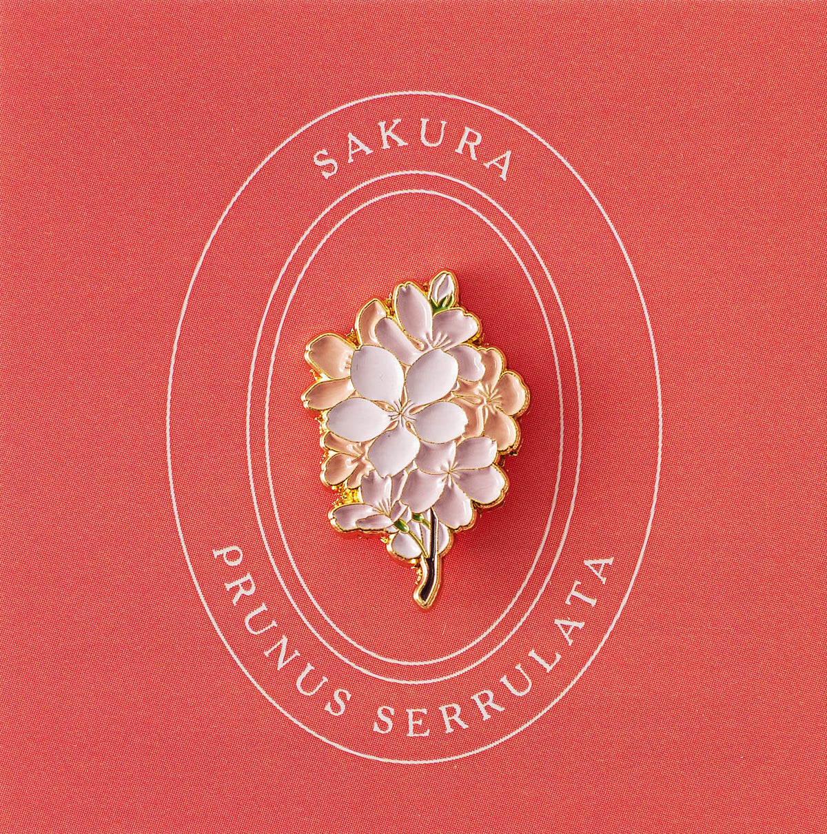 Sakura