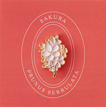 Sakura