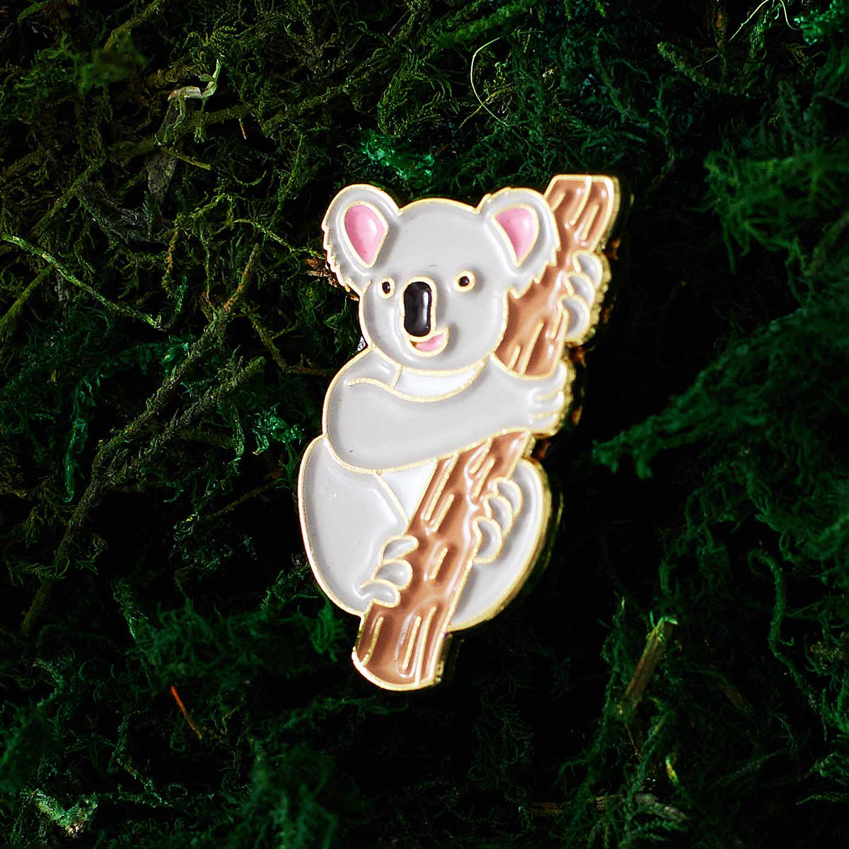 Koala