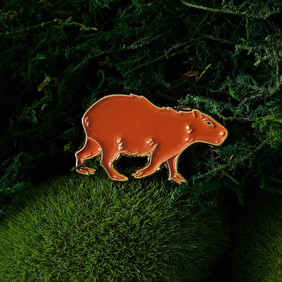 Сapybara