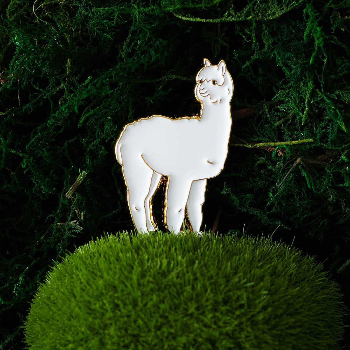 Alpaca