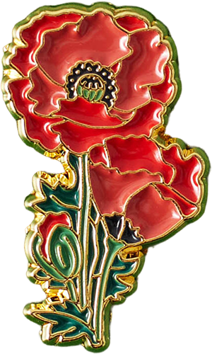 Newsletter Image