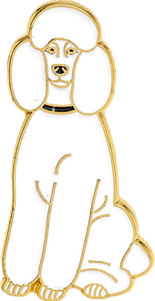 Newsletter Image