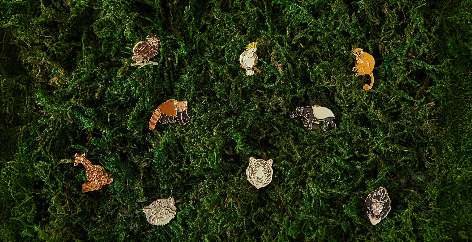 Zoo collection background image
