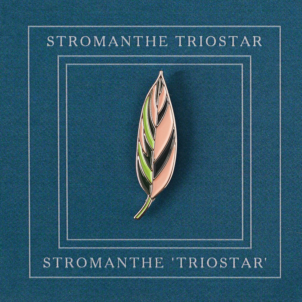 Pin Triostar