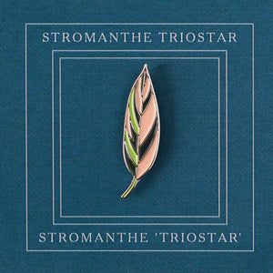 Pin Triostar