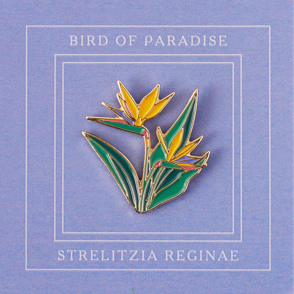 Pin Strelitzia reginae