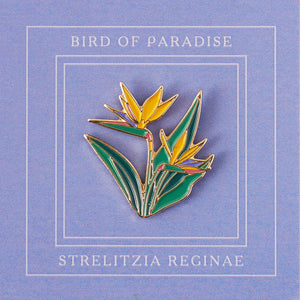 Pin Strelitzia reginae