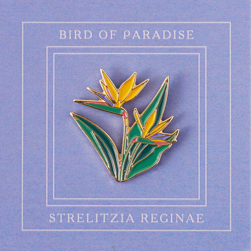Pin Strelitzia reginae