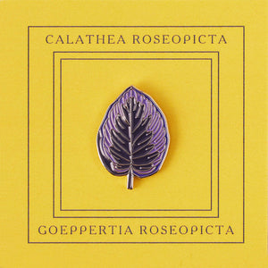 Pin Calathea