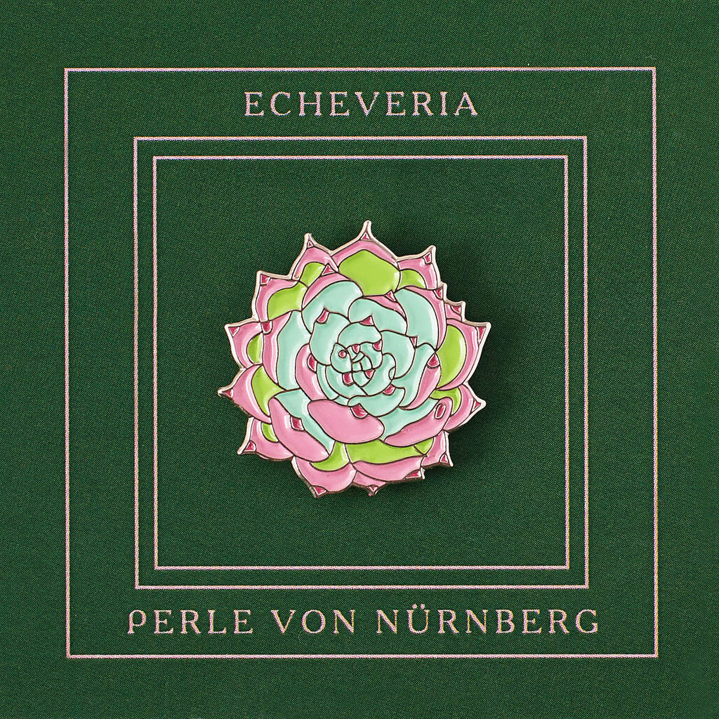 Pin Echeveria