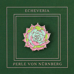 Pin Echeveria