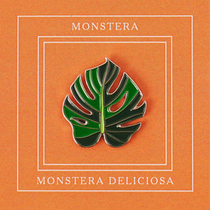 Pin Monstera