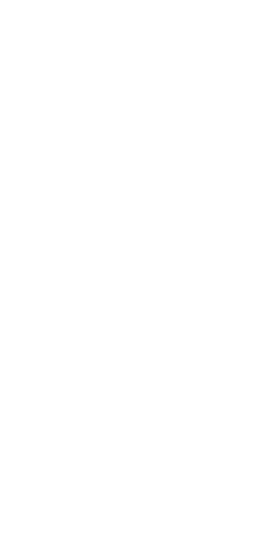 small_t_image