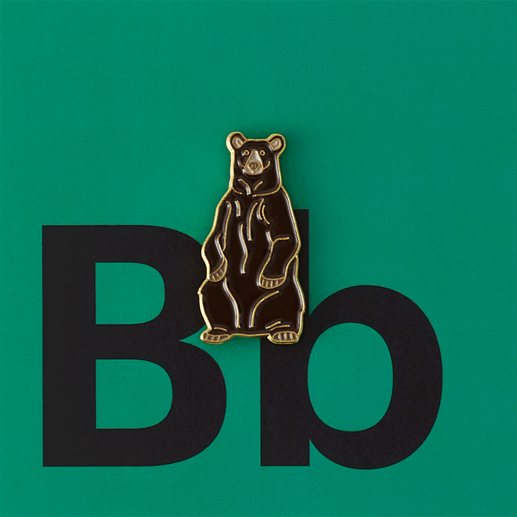 Brown Bear
