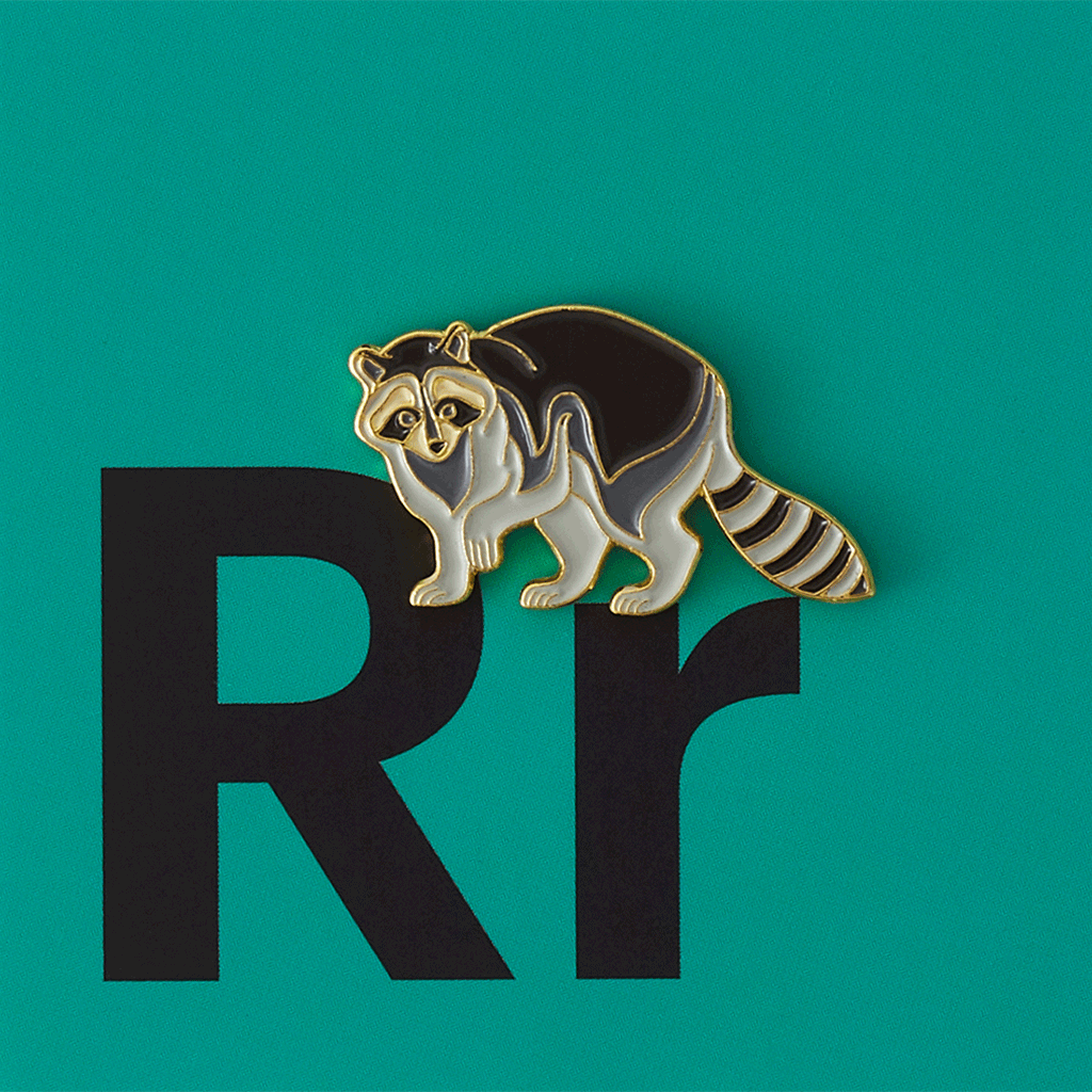 Racoon