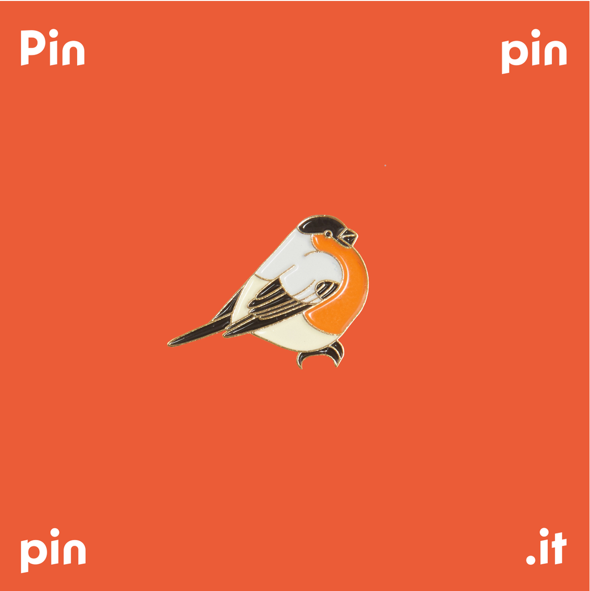 Bullfinch